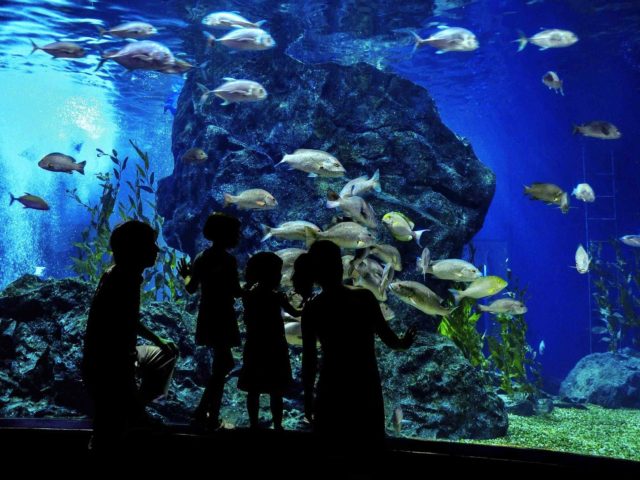 post_capetown_01 https://www.banitours.com/wp-content/uploads/2018/08/post_capetown_01-640x480.jpg