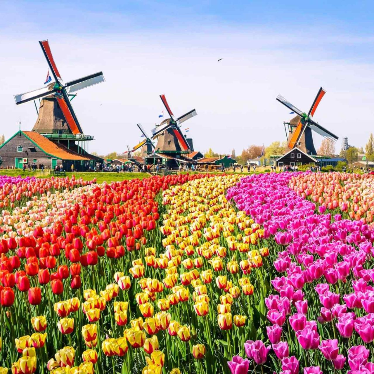 https://www.banitours.com/wp-content/uploads/2018/09/destination-netherlands-01-1280x1280.jpg