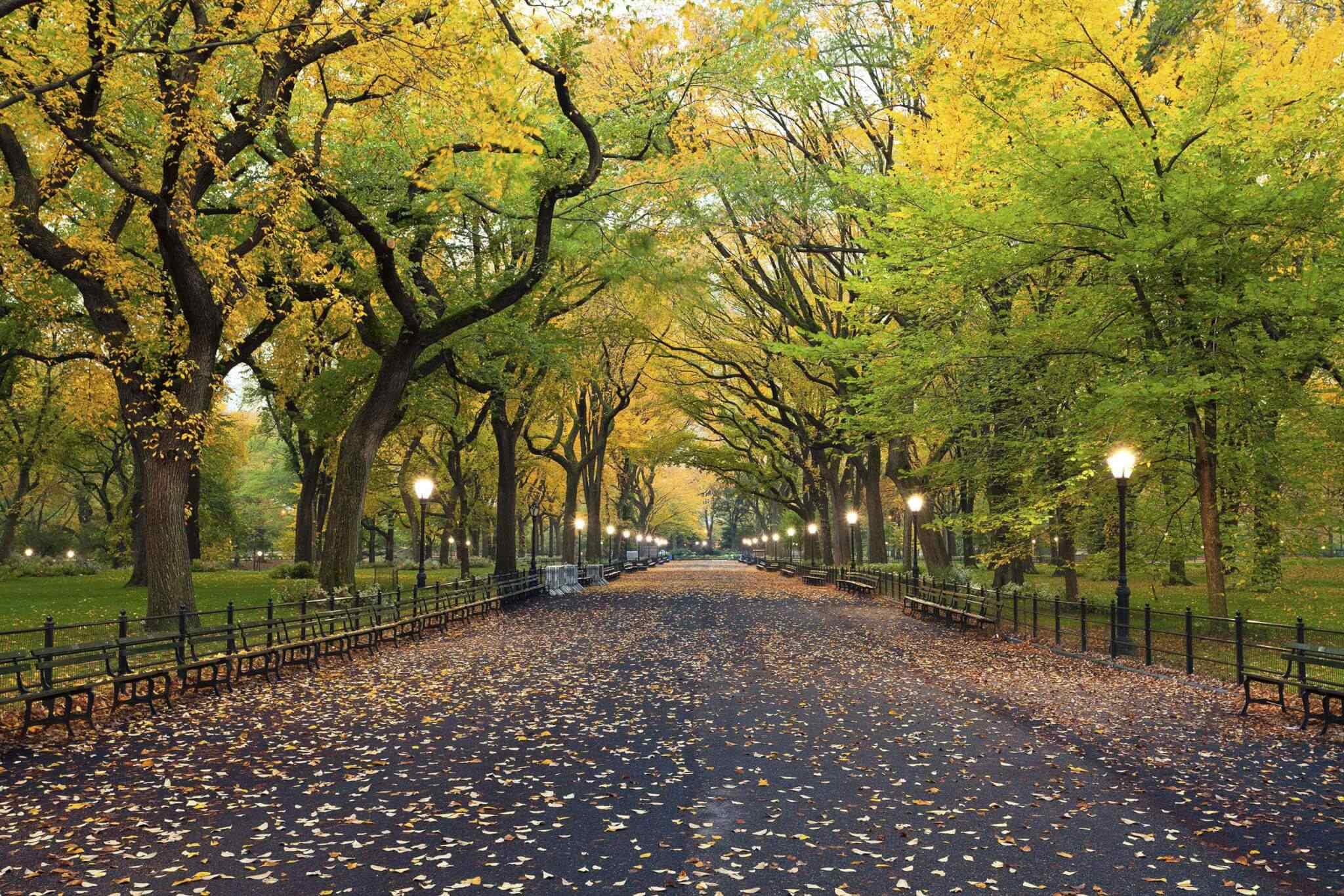 https://www.banitours.com/wp-content/uploads/2018/09/destination-new-york-02.jpg