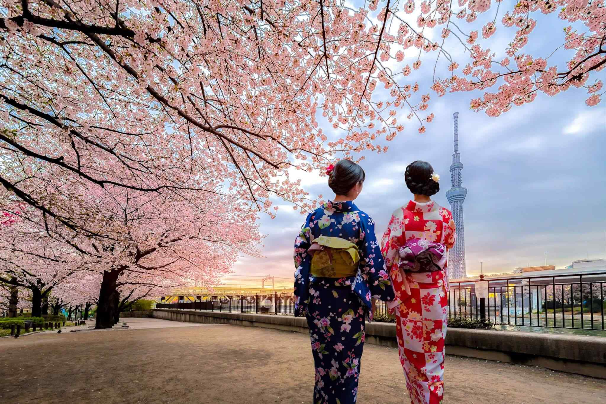 https://www.banitours.com/wp-content/uploads/2018/09/destination-tokyo-03.jpg