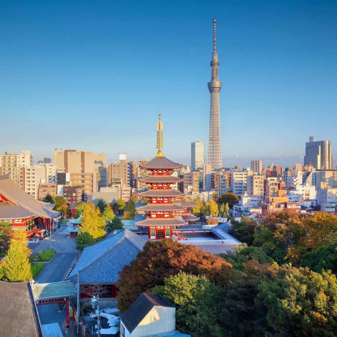 https://www.banitours.com/wp-content/uploads/2018/09/destination-tokyo-04-1280x1280.jpg